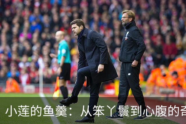 小莲的鱼羹：从笨丫鬟到心腹的奇妙逆袭
